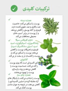 فوم شستشوی تسکین دهنده ماگورت راندلب Round Lab Mugwort Calming Cleanser
