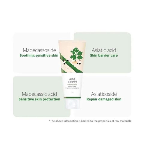 فوم شستشوی تسکین دهنده ماگورت راندلب Round Lab Mugwort Calming Cleanser