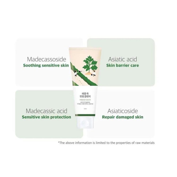 فوم شستشوی تسکین دهنده ماگورت راندلب Round Lab Mugwort Calming Cleanser