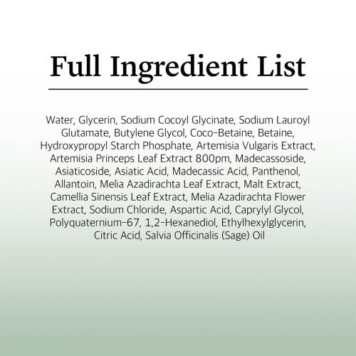 فوم شستشوی تسکین دهنده ماگورت راندلب Round Lab Mugwort Calming Cleanser