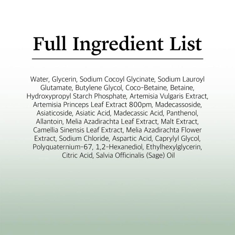 فوم شستشوی تسکین دهنده ماگورت راندلب Round Lab Mugwort Calming Cleanser