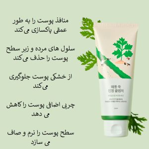 فوم شستشوی تسکین دهنده ماگورت راندلب Round Lab Mugwort Calming Cleanser