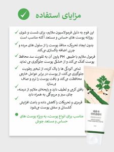 فوم شستشوی تسکین دهنده ماگورت راندلب Round Lab Mugwort Calming Cleanser